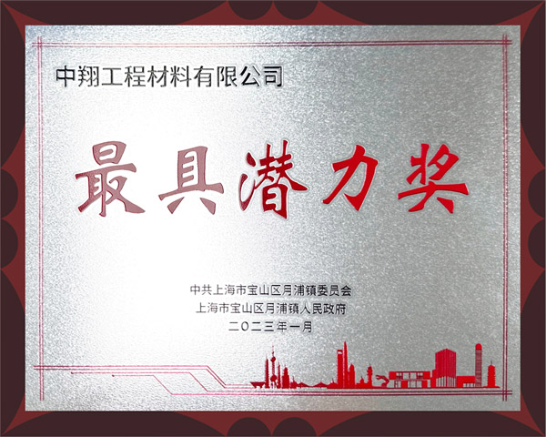奖牌（最具潜力奖）