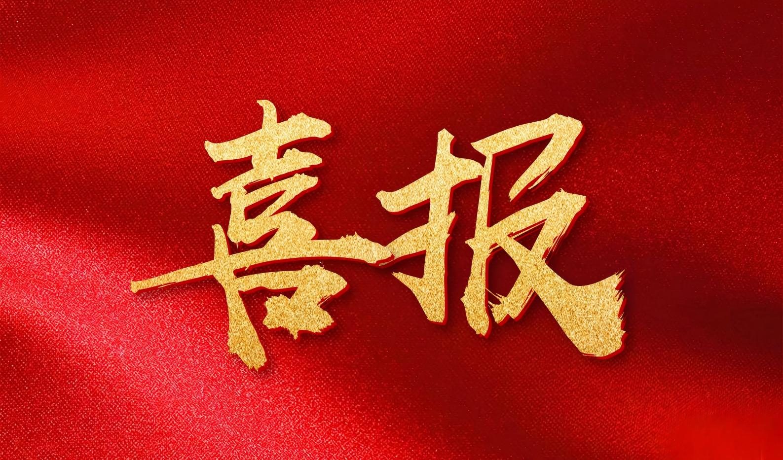 喜报 | 中翔集团再获优秀分供商荣誉称号